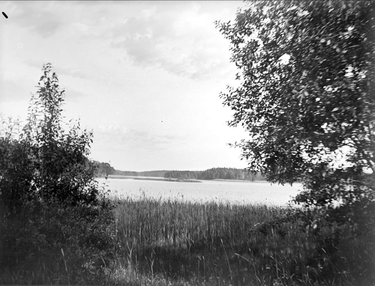 Sjön Trehörningen,  Funbo socken, Uppland juni 1934