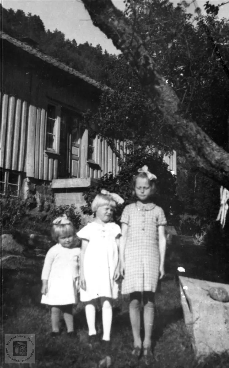 Portrett av tre søstre. Synnøve, Torhild og Anna Laudal, Øvre Laudal.