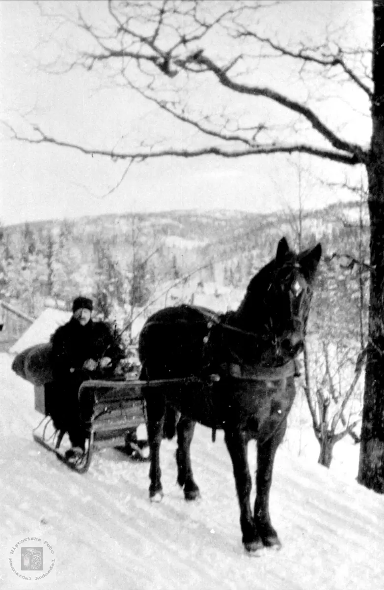 Andreas Grill Fasting med hesten Brita på Øyslebø.