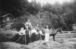 Høyonn trolig på Fuglestveit, Øyslebø.