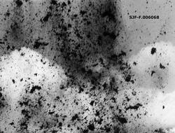 «Grøfteøvelser på Mustad.  Skuddet går.»