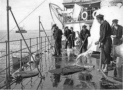 Tordenskjold (b. 1897, Armstrong, Newcastle), panserskipets 