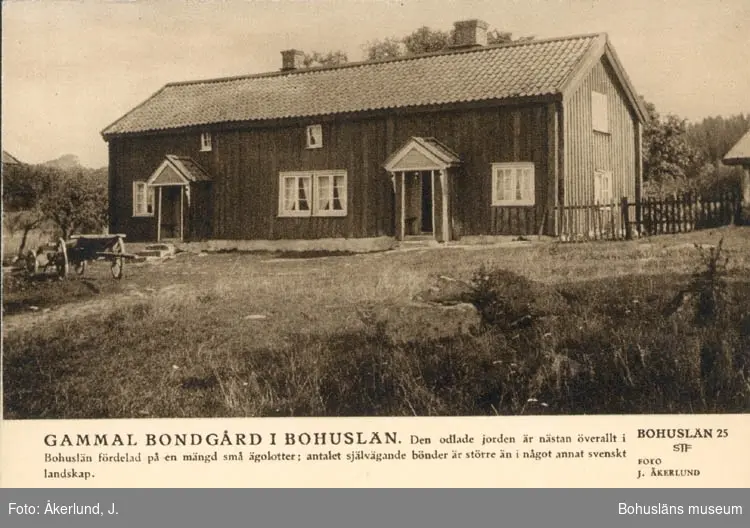 Tryckt text på kortet: "Gammal bondgård i Bohuslän. Den odlade jorden är nästan 
överallt i Bohuslän fördelad på en mängd små ägolotter; antalet självägande bönder är större än i något annat svenskt landskap."
