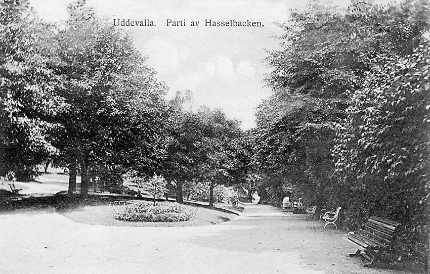 Tryckt text på vykortets framsida: "Uddevalla. Parti av Hasselbacken".