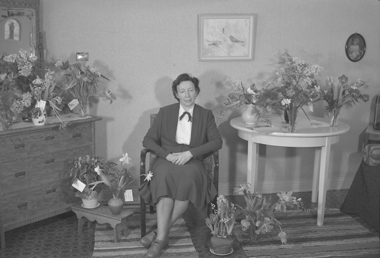 Text till bilden: "Fru Signe Persson, Slätten B9. 50 år. 1950.01.19"












i