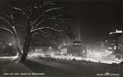 Oslo ved natt. Utsikt fra Abelhaugen.
