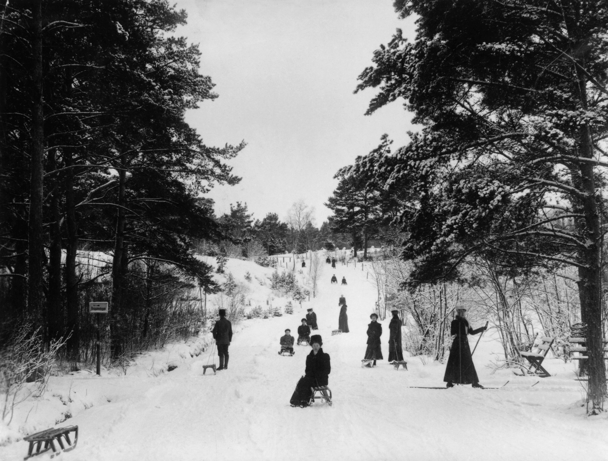 Vid seklets början var kälkåkning ett nöje för både barn och vuxna. I Jönköpings stadspark åker man både kälke och skidor i Stora kälkbacken.