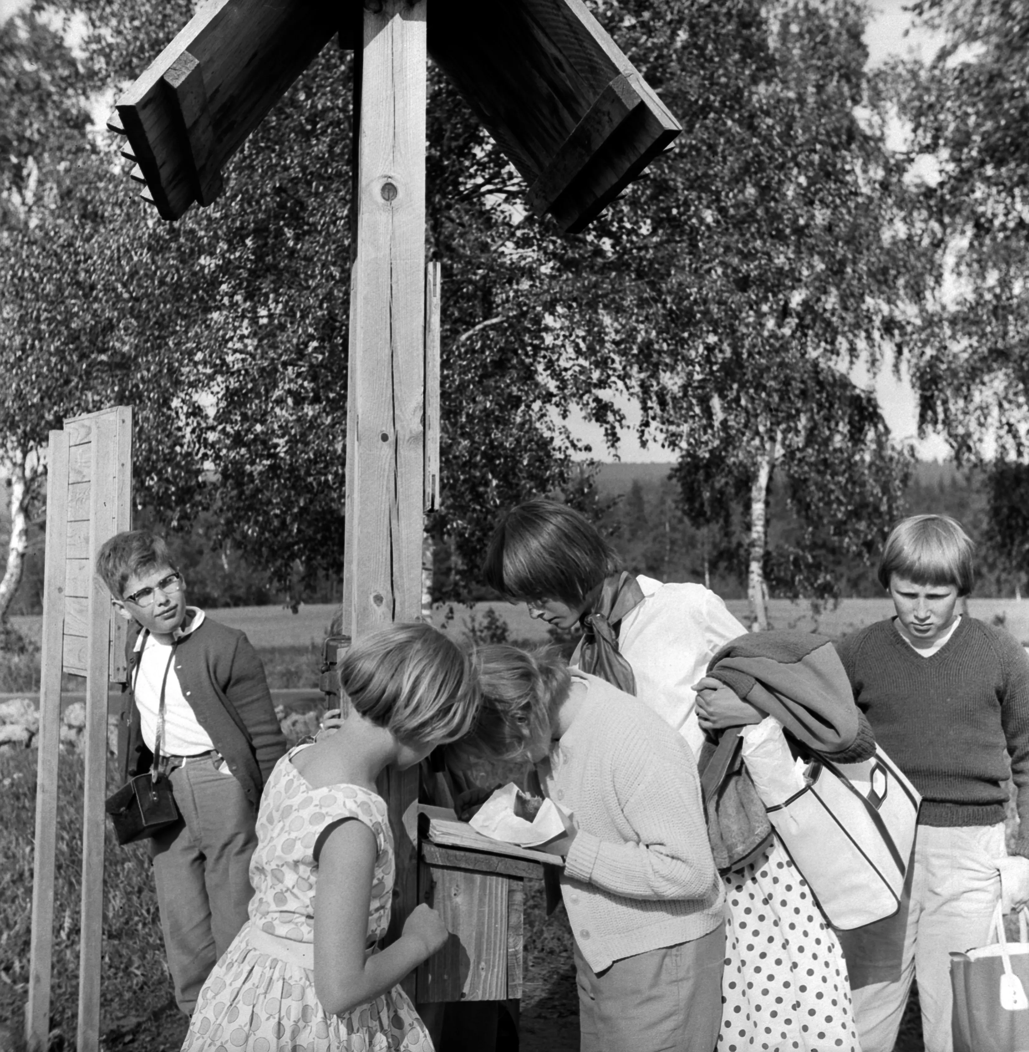r 1960 P V ren r Klass 5 Fr n ster ngsskolan I J nk ping P r-1960-p-v-ren-r-klass-5-fr-n-ster-ngsskolan-i-j-nk-ping-p