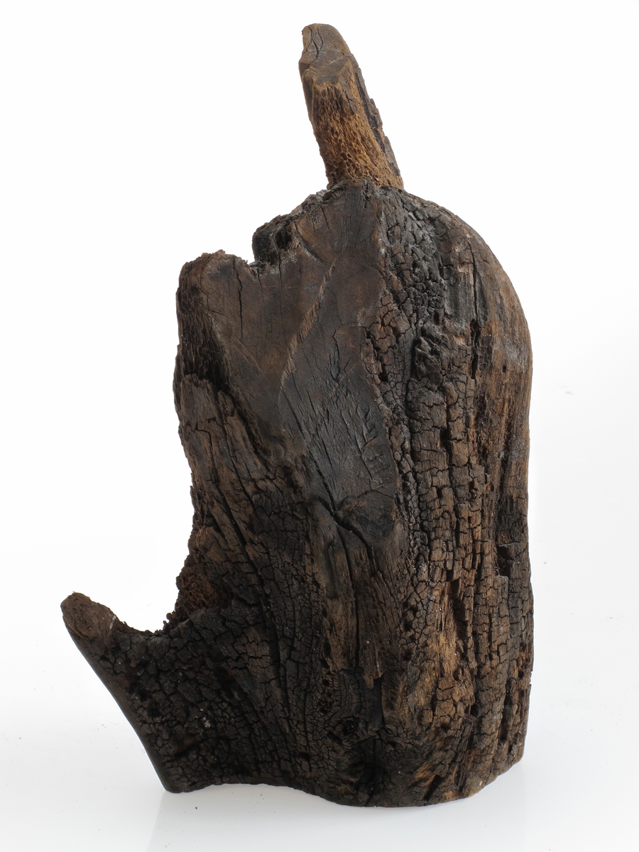 Fargetre, campuchetre, logwood. 
b)   Stykke av en stokk, kort og tykk, med en oppstående hake.