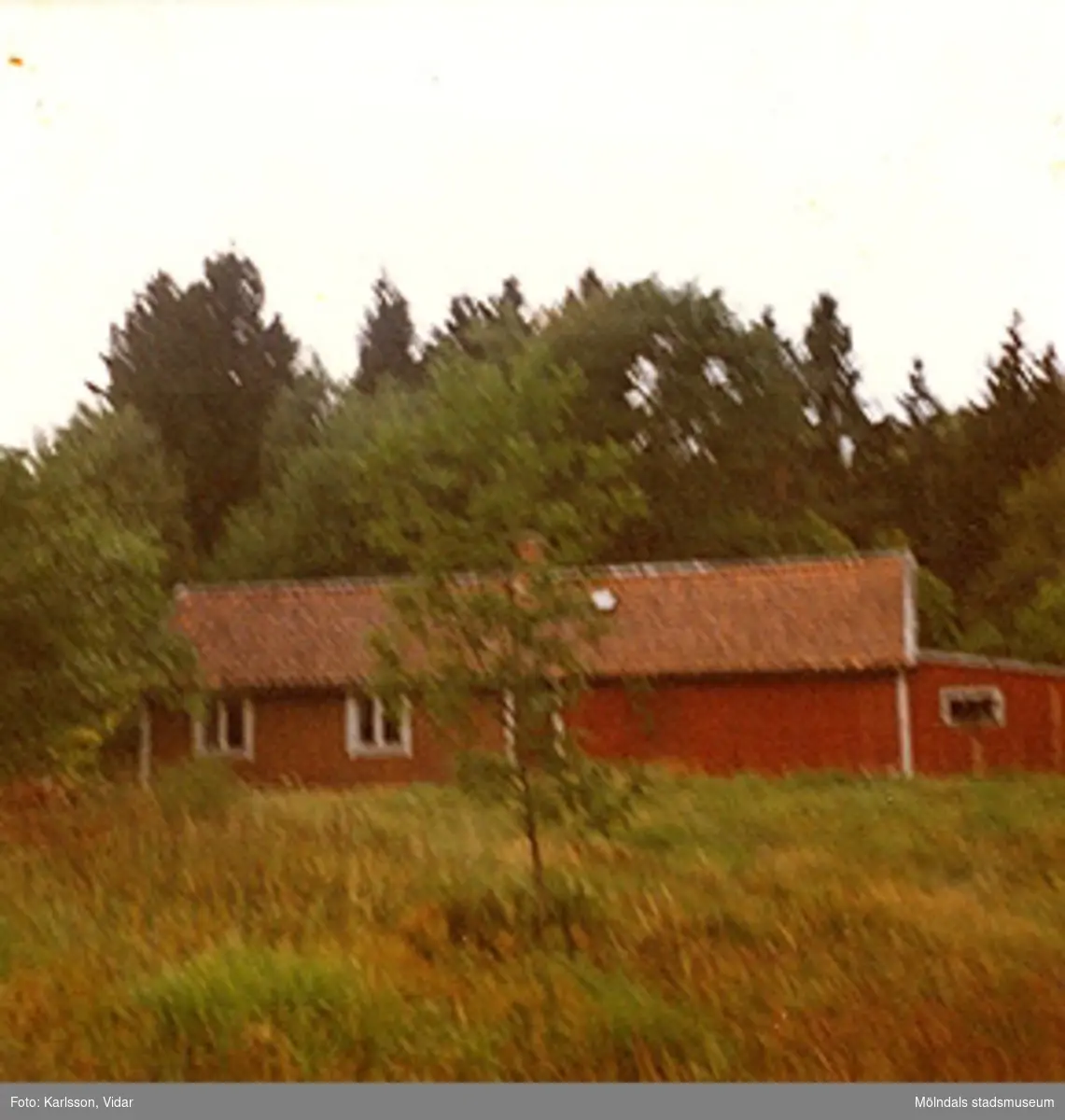Ett rödmålat bostadshus, ett och ett halvt plan, som ligger på en kulle. Ort och årtal är okänt.