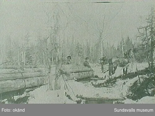 Skogsarbete troligen hos Gunnar Näslund.