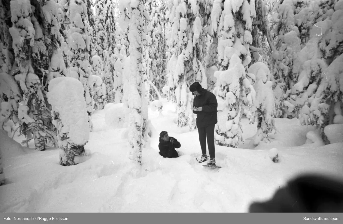 Bilder till ett reportage om snöskor i Fränsta, gjort för Dagens Nyheter.
