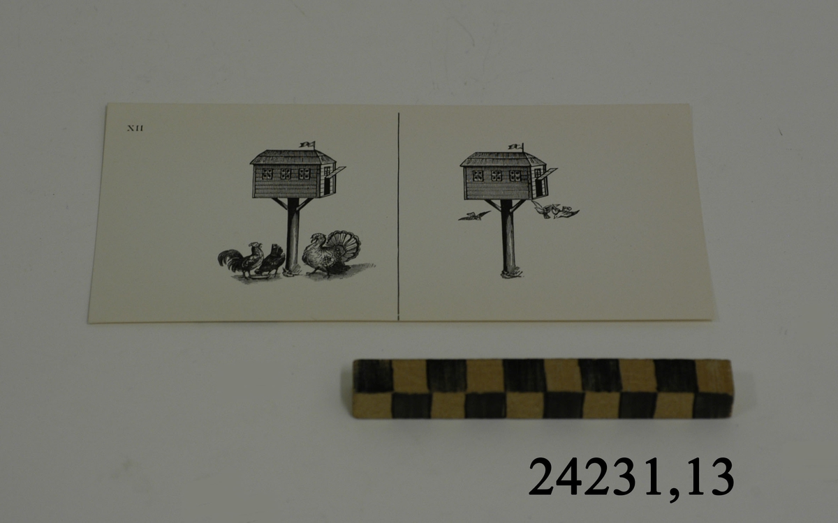 Rektangulärt vitt pappersark, numrerat XII i övre vänstra hörnet. På arket syns två stycken olika bilder i svartvitt, en för vardera öga. Till vänster: Ett fågelbord i form av ett hus. På marken under huset syns en tupp, en höna samt en kalkon. Till höger: Samma fågelbord, med tre stycken flygande småfåglar.