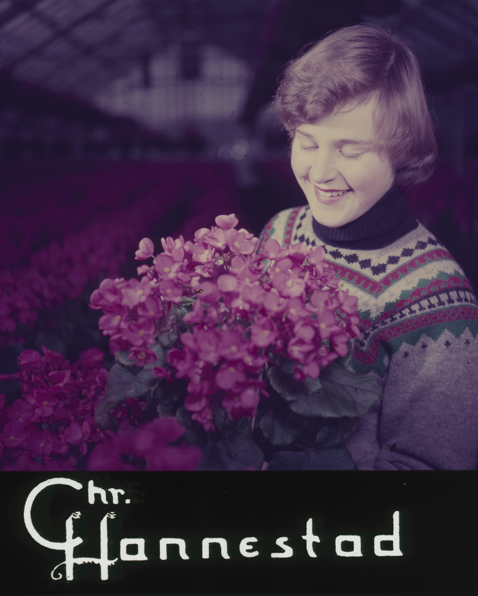 Kinoreklame fra 1960-tallet med Chr. Hannestad sin logo, ung kvinne iført strikkegenser holder en rosa juleglede i armene inne i drivhus.