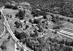 Kambo gård i Moss, flyfoto 14. juni 1954.