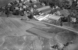 Wiig Handelsgartneri, Mysen i Eidsberg, flyfoto 20. august 1