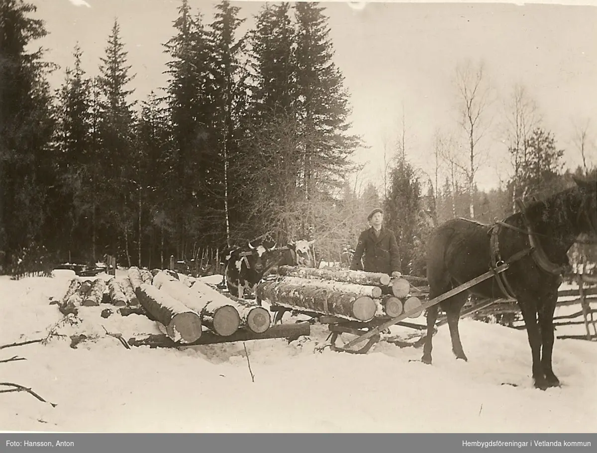 Timmerkörning i Hvitaberg, mars 1916. 

Fröderyds Hembygdsförening