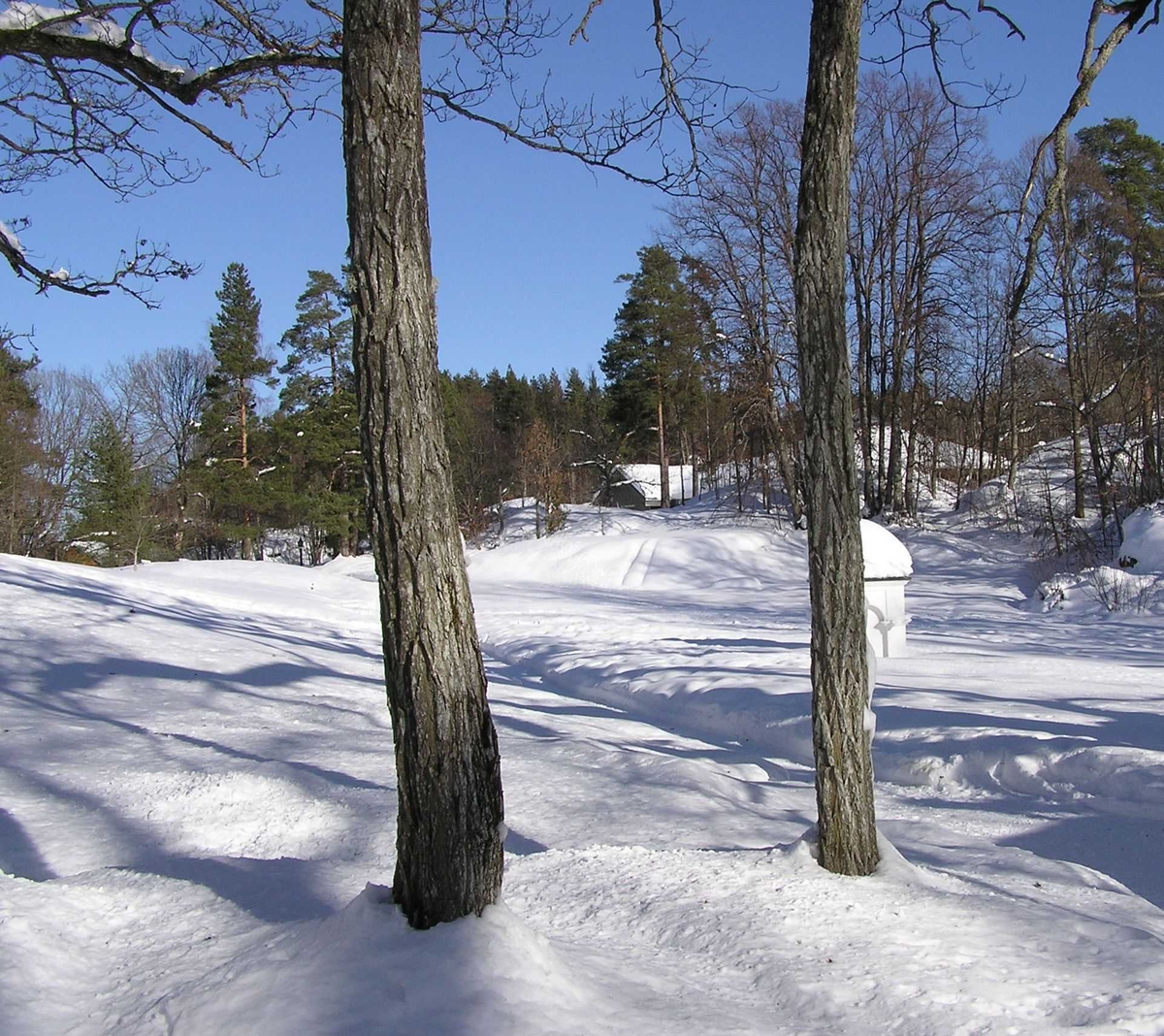 Vinter i parken på Berg-Kragerø Museum 02.03.2010