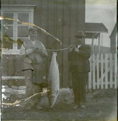 Laksefiske. To menn med laks.