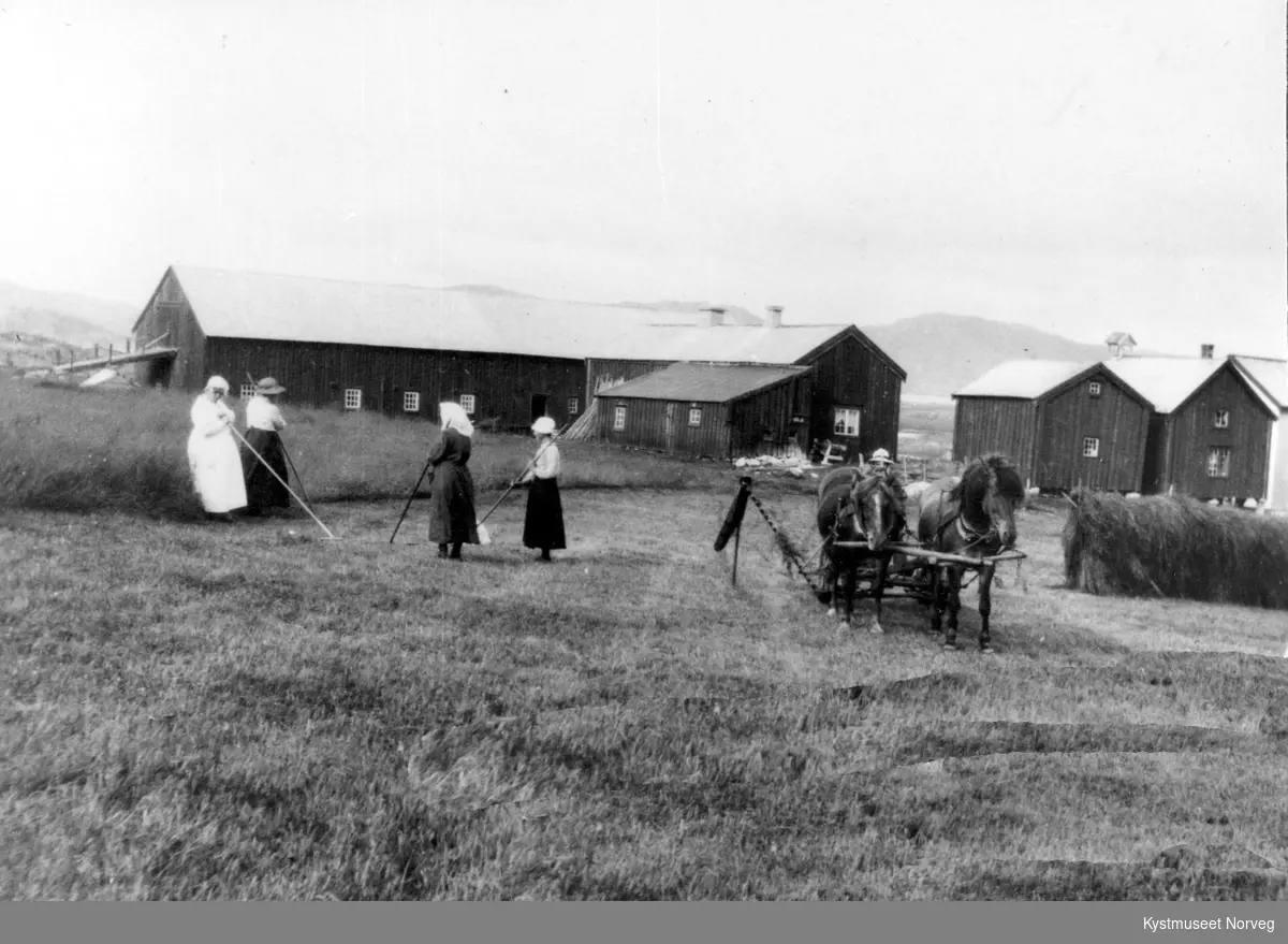 Flatanger, slåttonn på Løvøya. Fra venstre: Anna, Marianne, Hansine, alle Amundsen, Nikoline Olsen og Peder Amundsen på slåmaskina