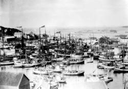 Sør-Gjæslingan, fiskebåter i havn