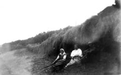 Ukjente personer har pause i slåttonna i Henning, Steinkjer