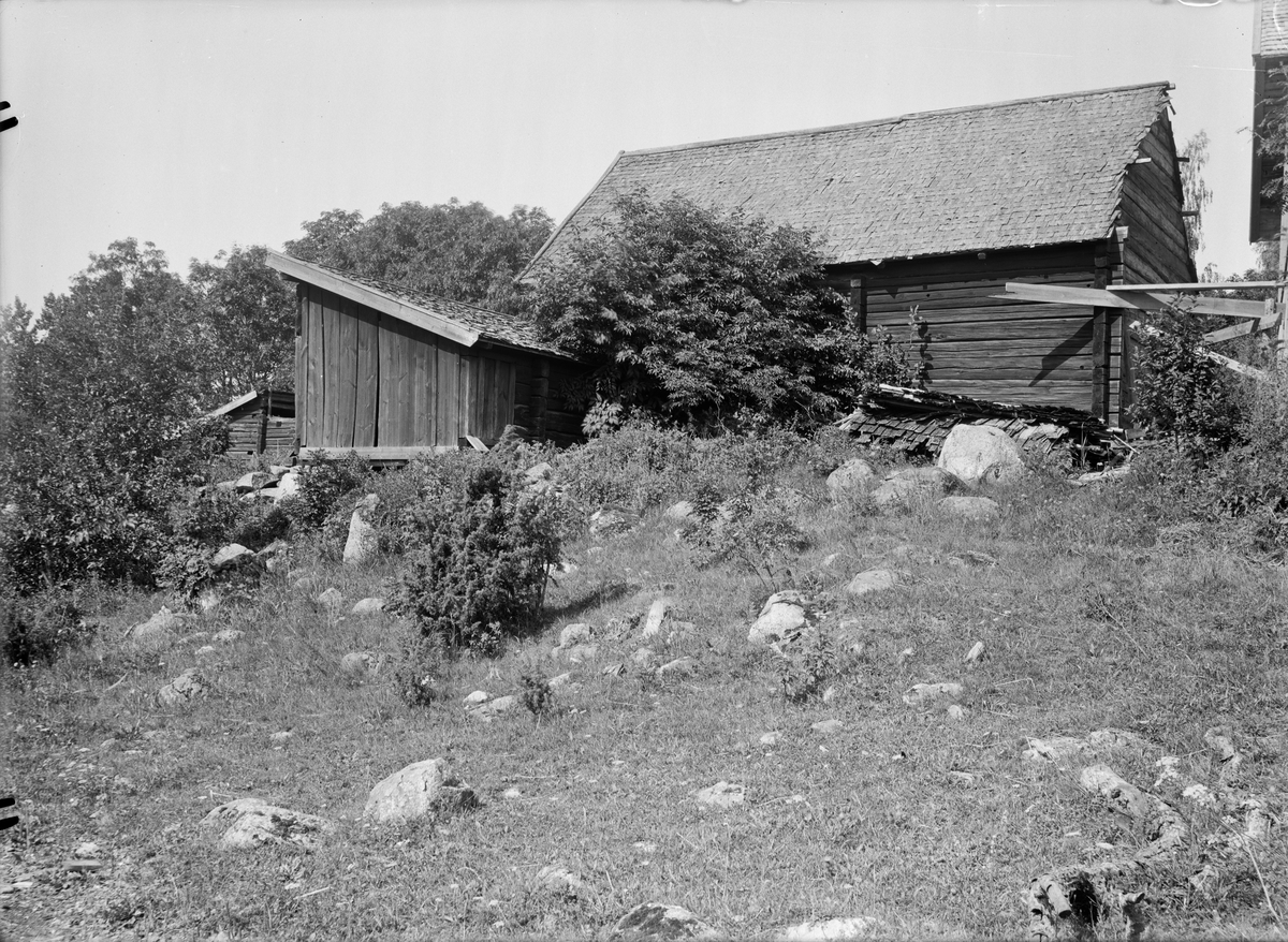 Svinstia och fähus - nu på friluftsmuseet Disagården - på ursprunglig plats, Lilla Bultebo, Tierps socken, Uppland 1930