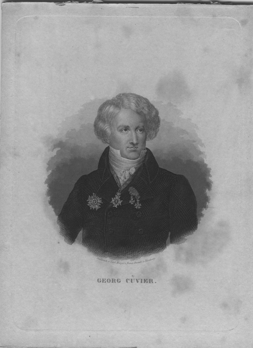 'Porträtt av Georg Cuvier. Stålgravyr av Carl Mayer´s Konst Anstalt, Nürnberg. ::  :: Ingår i serie med fotonr. 6975:1-31.'