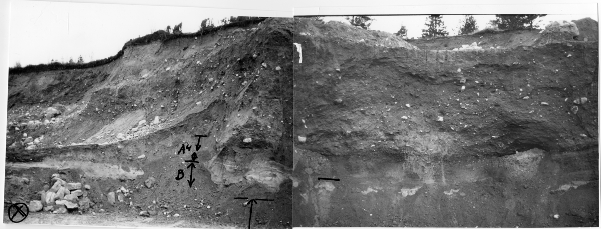 'Vy med fyndplatsen av subfossil mammutbete. :: Bildtext: ''Mammutfynd markerat med cirkel med kryss inuti. Fynddatum 1967-12-15. Pilen i högra hörnet visar ''vindslipn. hor.'' ::  :: Beskrivning av mammutbeten: längd 360 mm, diameter 70-80 mm. ''Fyndet har vid bärgningen fallit sönder i 5 större och ett flertal mycket små bitar. ::  :: Ingår i serie med fotonr. 7053:1-11. Se även fotonr. 2023-2027 och 2958.'