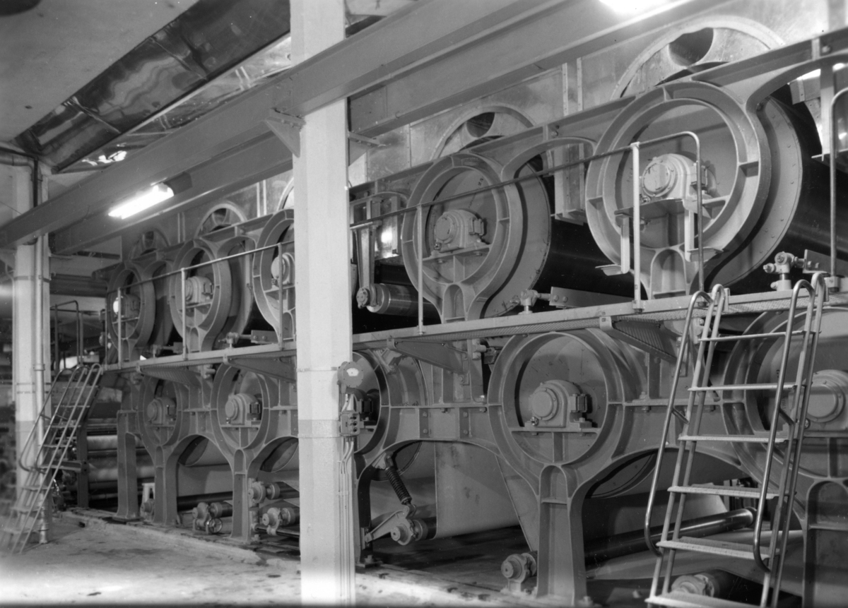 PM 3 Torkparti i Papyrus fabriker, okt. 1950.