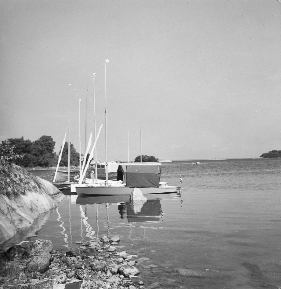"Några E-kanoter från Ålstens Båt Sällskap omkring år 1950" "Motorbåten i bakgrunden troligen Allan Rosengrens" "Den vita E-kanoten troligen 'Hjorten'"