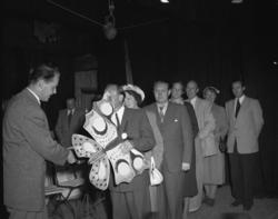 Vardens arkiv. "Sommerfuglen i Brekkeparken" 25.07.1953