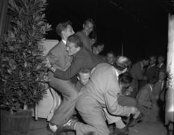 Vardens arkiv. "Sommerfuglen i Brekkeparken" 25.07.1953