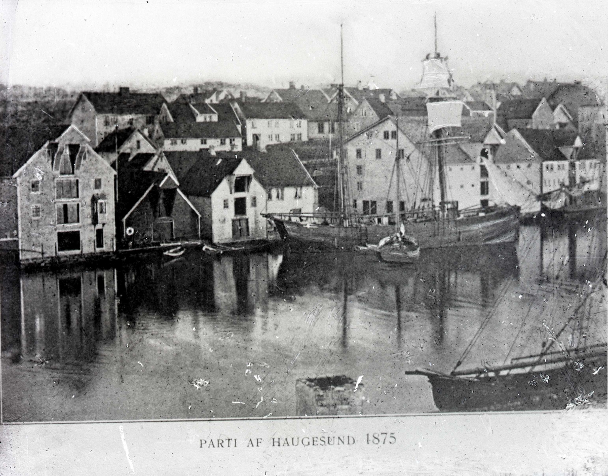 Sjøhusrekke langs fastlandssiden. I bakgrunnen til h. vindmølla på Havnaberg. Vindmølla var flyttet fra Hasseløy 1859.