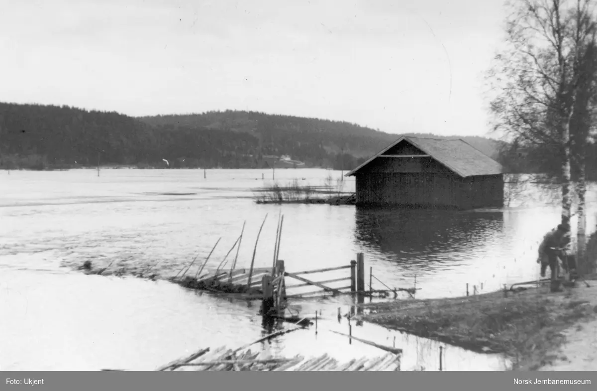 Flommen i 1934 : oversvømmet område sett fra jernbanen