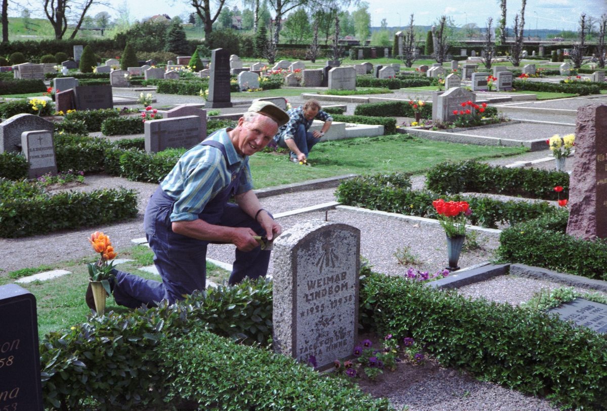 Gösta Karlsson vid Kyrkogårdsförvaltningen planterar blommor vid en grav på kyrkogården vid Huskvarna kyrka.