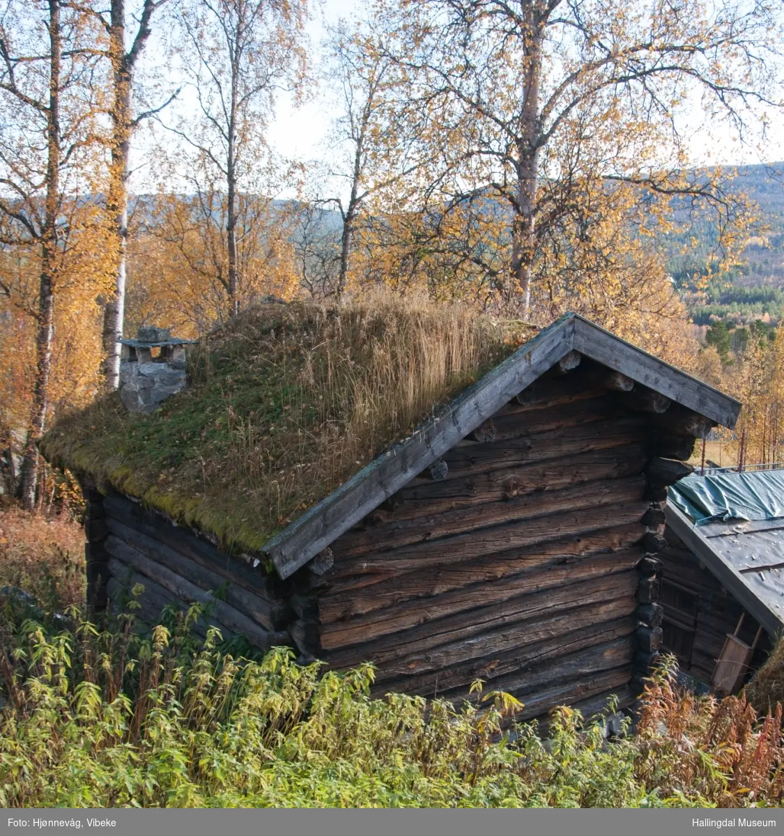 Kvernhus fra Aasberg på Dagali Museum, Dagali