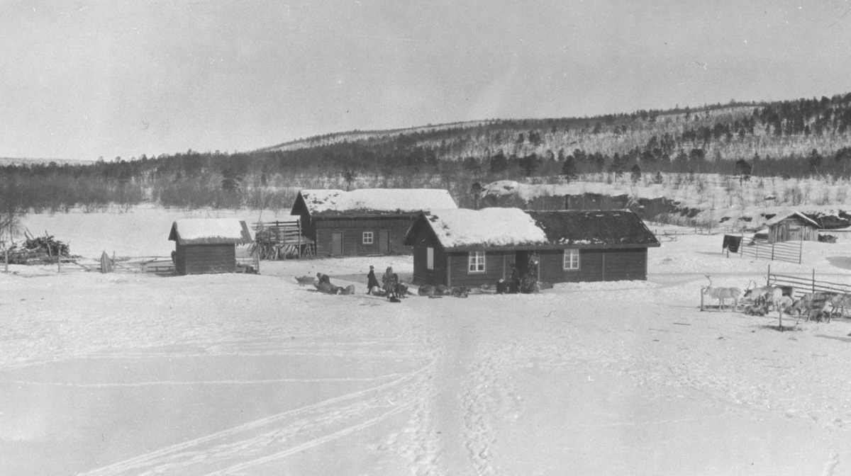 Bæivasgidde fjellstue i Karasjok fotografert i april trolig i 1919. Det ...