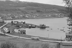 Vika, med Gamnes og Undlandet i bakgrunnen. På veien i forgr