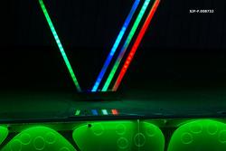 Glassflate som illustrerer bladets anatomi i utstillingen «D