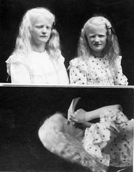 Dr. Magnus (Hjernen)