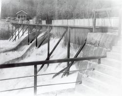 Damanlegg, fra Telemarksserien 1922.