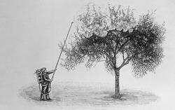 Amtsgartner Larsen. December 17.