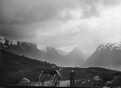 Våtedalen i Jølster, mann med hest og vogn