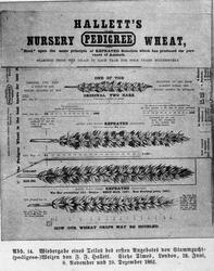 Landbrukshøgskolen, Prof. Christie