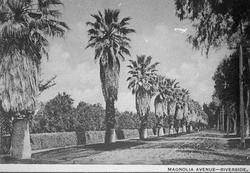 Magnolia Avenue, Los Angeles