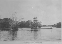 Madagascar (Hermbeck o.a.) m. Tu...