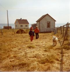 Barna til Håkon Bauna og lam på gårdsplassen. Den hvitmalte 