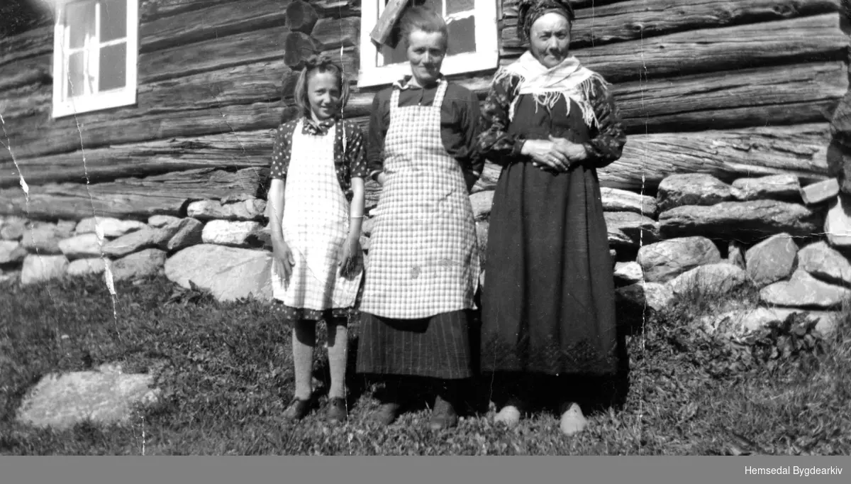Tre generasjonar på Søre Jorde, 51.9, i Hemsedal.
Frå venstre: Barbo Flaten, fødd 1908, gift Øynelien, Gol; Birgit Flaten, fødd Båstø 1865 og Barbo Flaten, fødd 1873.