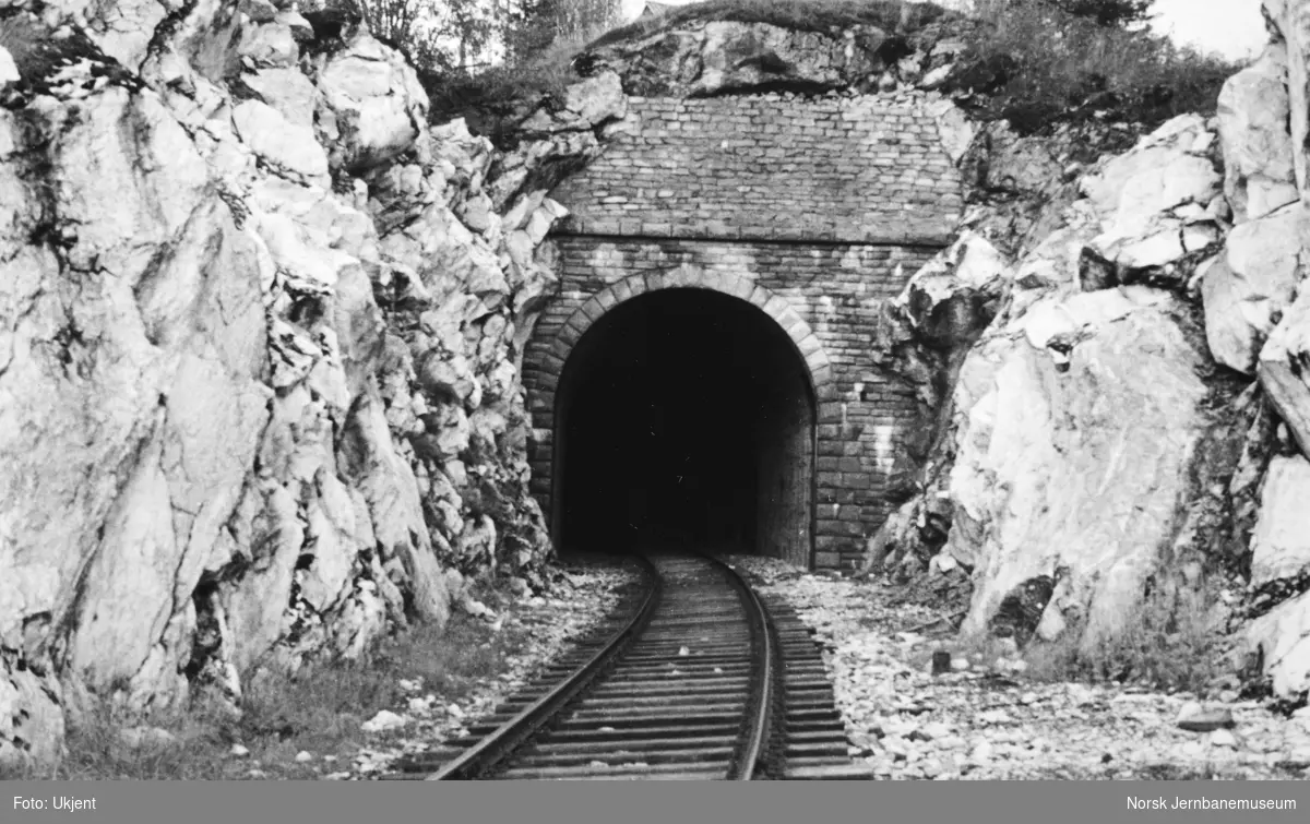 Jernbaneanlegget Mosjøen-Mo i Rana : søndre portal Gjeithammer tunnel, pel 6892